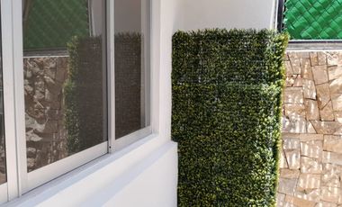 Casa en Renta con Uso de Suelo Oficina, Benito Juárez, Ciudad de México