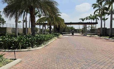 SE VENDE TERRENO MEDIANERO EN PUNTA BARRANCA / NUEVO SAMBORONDON