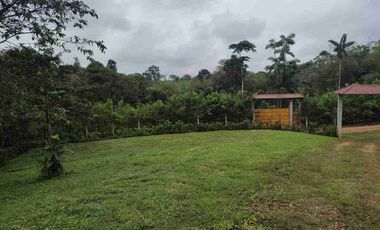 HACIENDA EN VENTA – PEDRO VICENTE MALDONADO