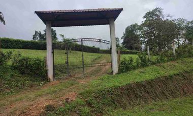 HACIENDA EN VENTA – PEDRO VICENTE MALDONADO