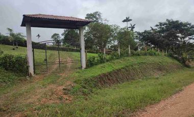 HACIENDA EN VENTA – PEDRO VICENTE MALDONADO