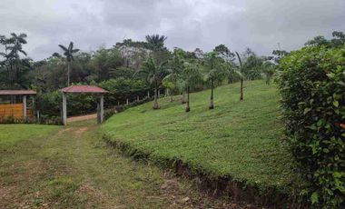 HACIENDA EN VENTA – PEDRO VICENTE MALDONADO