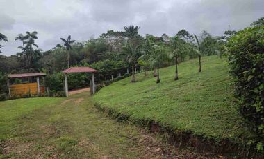 HACIENDA EN VENTA – PEDRO VICENTE MALDONADO