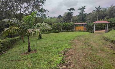 HACIENDA EN VENTA – PEDRO VICENTE MALDONADO