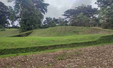 HACIENDA EN VENTA – PEDRO VICENTE MALDONADO