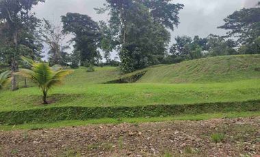 HACIENDA EN VENTA – PEDRO VICENTE MALDONADO