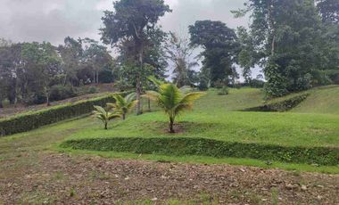 HACIENDA EN VENTA – PEDRO VICENTE MALDONADO
