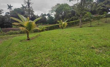 HACIENDA EN VENTA – PEDRO VICENTE MALDONADO