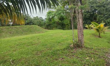 HACIENDA EN VENTA – PEDRO VICENTE MALDONADO