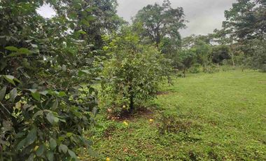 HACIENDA EN VENTA – PEDRO VICENTE MALDONADO