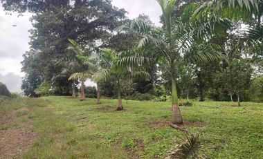 HACIENDA EN VENTA – PEDRO VICENTE MALDONADO