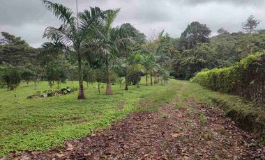 HACIENDA EN VENTA – PEDRO VICENTE MALDONADO