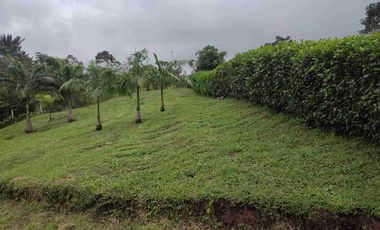 HACIENDA EN VENTA – PEDRO VICENTE MALDONADO