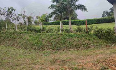 HACIENDA EN VENTA – PEDRO VICENTE MALDONADO