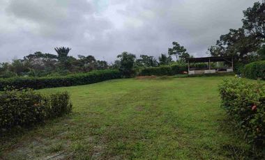HACIENDA EN VENTA – PEDRO VICENTE MALDONADO