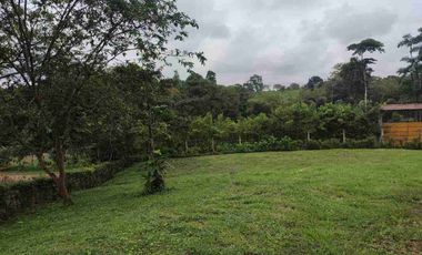 HACIENDA EN VENTA – PEDRO VICENTE MALDONADO