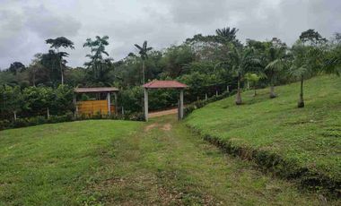 HACIENDA EN VENTA – PEDRO VICENTE MALDONADO