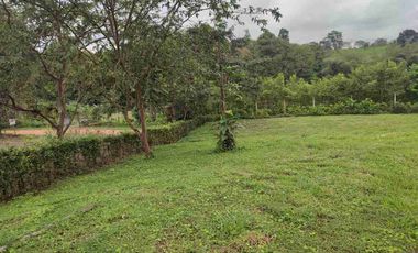 HACIENDA EN VENTA – PEDRO VICENTE MALDONADO