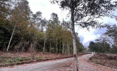 Parcela A Sólo 15 Min De Villarrica