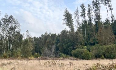Parcela A Sólo 15 Min De Villarrica