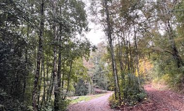 Parcela A Sólo 15 Min De Villarrica