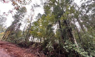 Parcela A Sólo 15 Min De Villarrica