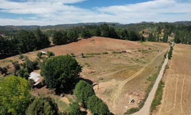Se vende 16 hectareas para Proyecto Inmobiliario en Hualqui