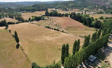Se vende 16 hectareas para Proyecto Inmobiliario en Hualqui