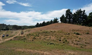 Se vende 16 hectareas para Proyecto Inmobiliario en Hualqui