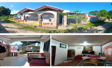 RESIDENTIAL HOUSE AND LOT