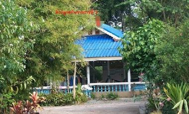 TN08854 ขายบ้านเดี่ยว โครงการบ้านสุขสวัสดิ์ กาฬสินธุ์