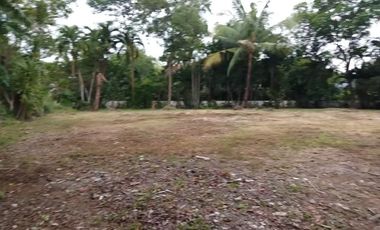 Clean Title Residential Lot FOR SALE at Ayala Alabang Village Muntinlupa
