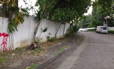 Clean Title Residential Lot FOR SALE at Ayala Alabang Village Muntinlupa