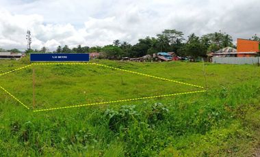 RESIDENTIAL VACANT LOT