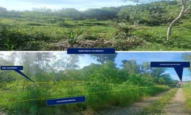 RESIDENTIAL VACANT LOT