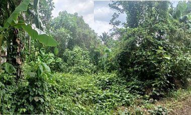 RESIDENTIAL VACANT LOT