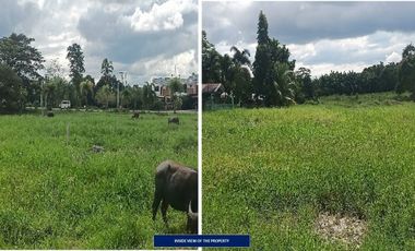 RESIDENTIAL VACANT LOT