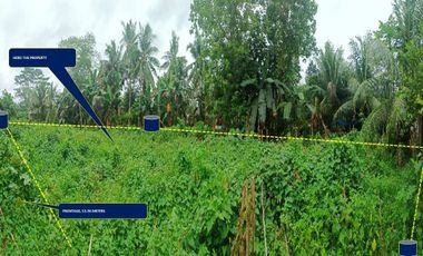 RESIDENTIAL VACANT LOT