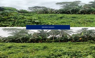 RESIDENTIAL VACANT LOT