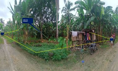 RESIDENTIAL VACANT LOT