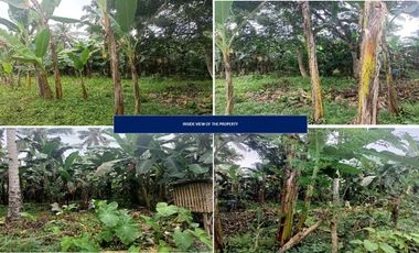 RESIDENTIAL VACANT LOT