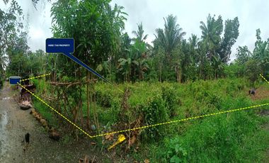 RESIDENTIAL VACANT LOT