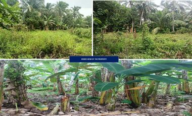 RESIDENTIAL VACANT LOT