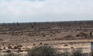 Venta de Terreno en Ejido Nuevo Rosarito, San Quintín, Baja California