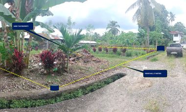 RESIDENTIAL VACANT LOT