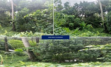 RESIDENTIAL VACANT LOT