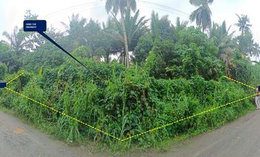 RESIDENTIAL VACANT LOT