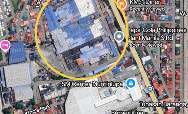 Commercial Lot for sale in Santa Catalina Street, Susana Heights, Tunasan, Muntinlupa District 1, Muntinlupa, Southern Manila District