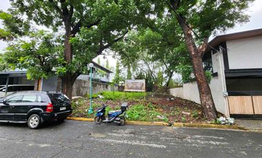 Vacant Lot for sale at TEOVILLE WEST, BF PARAÑAQUE