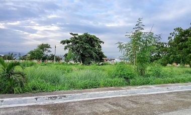Valle Verde Cebu: Seaside Subdivision Living in the Heart of Mactan